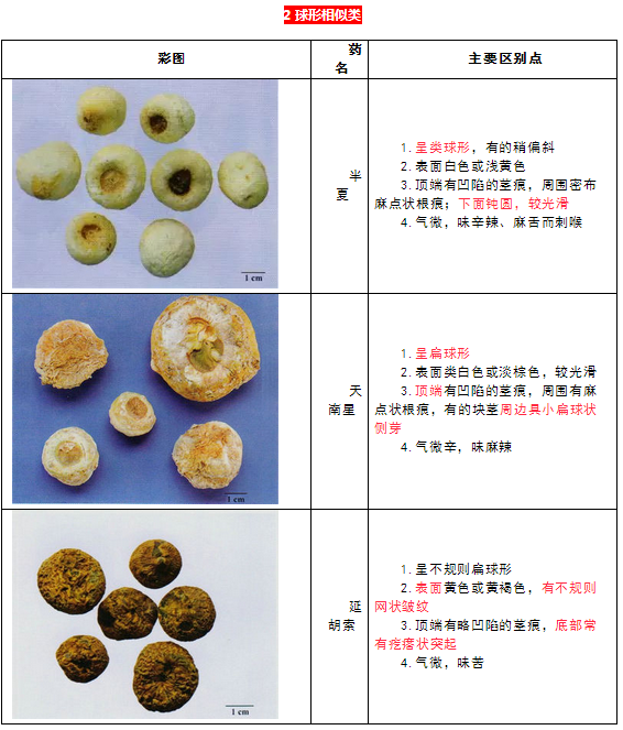 每日沖刺計(jì)劃！2019執(zhí)業(yè)藥師《中藥學(xué)專業(yè)知識二》第一篇！