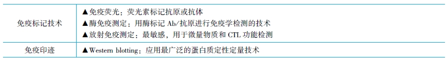 酶聯免疫吸附實驗